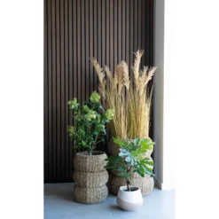 House nordic fikentre kunstig plante grønn h60 cm