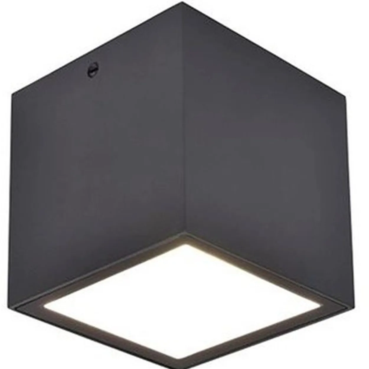 Lutec architectural gemini ip65 mørk grå taklampe