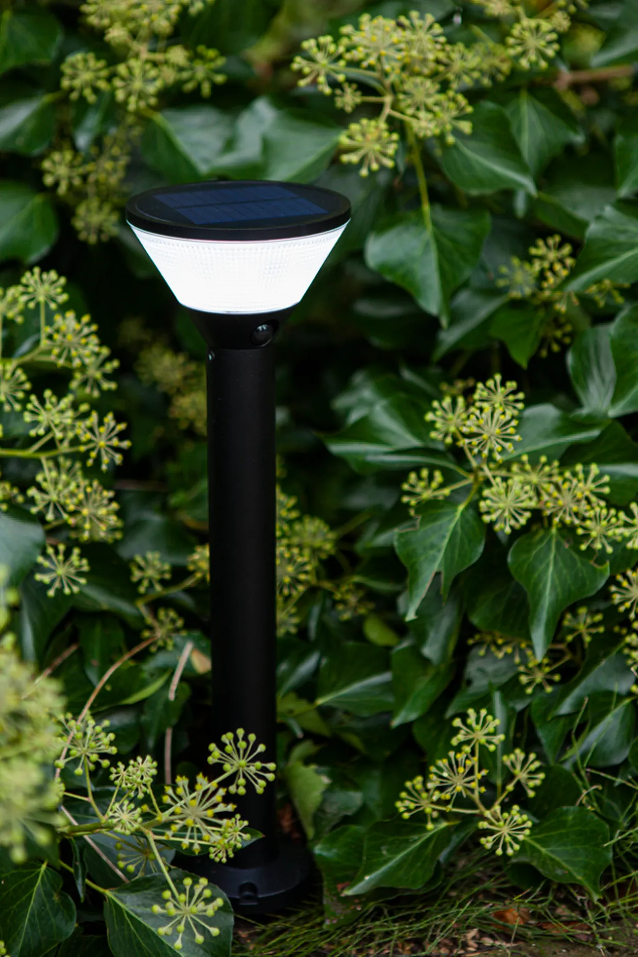 Lutec karlo solar spotlight hagelampe matt sort