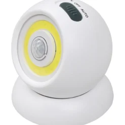 Sensor light